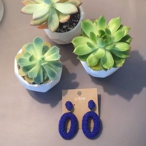J. CREW brand new royal blue drop earrings